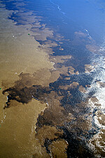 The meeting of the waters near Manaus